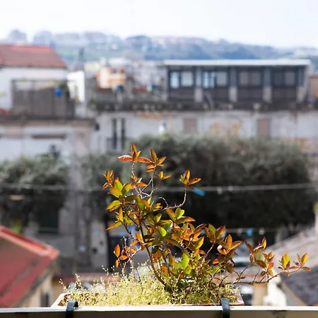 Etnuvio, Double In Couette-café